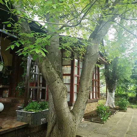 The House * Pravets