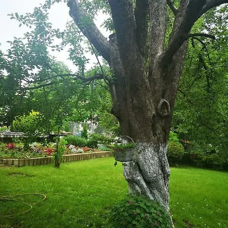 The House Guest house