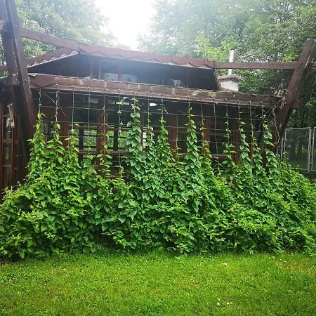 The House Guest house